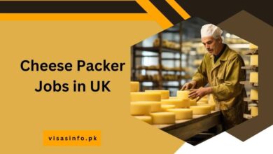 Cheese Packer Jobs in UK