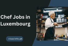 Chef Jobs in Luxembourg