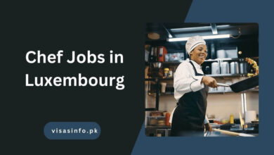 Chef Jobs in Luxembourg