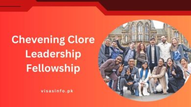 Chevening Clore Leadership Fellowship