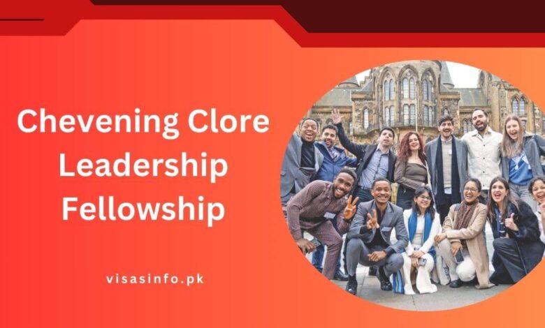 Chevening Clore Leadership Fellowship