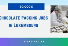 Chocolate Packing Jobs in Luxembourg