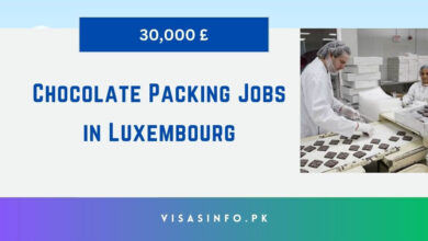 Chocolate Packing Jobs in Luxembourg