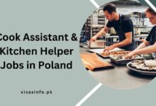 Cook Assistant & Kitchen Helper Jobs in Poland