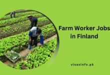 Farm Worker Jobs in Finland