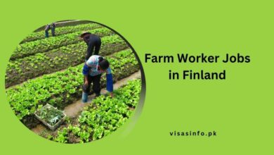 Farm Worker Jobs in Finland