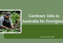 Gardener Jobs in Australia for Foreigners