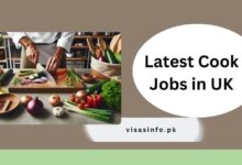 Latest Cook Jobs in UK