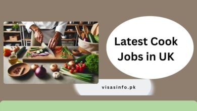 Latest Cook Jobs in UK