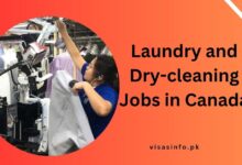 Laundry and Dry-cleaning Jobs in Canada