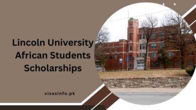 Lincoln University African Students Scholarships