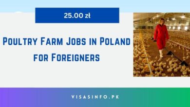 Poultry Farm Jobs in Poland for Foreigners