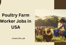 Poultry Farm Worker Jobs in USA