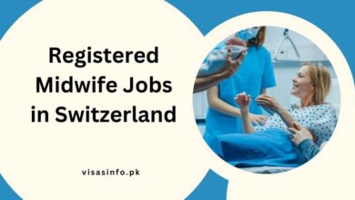 Registered Midwife Jobs in Switzerland