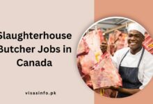 Slaughterhouse Butcher Jobs in Canada