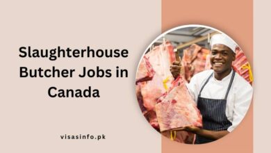 Slaughterhouse Butcher Jobs in Canada