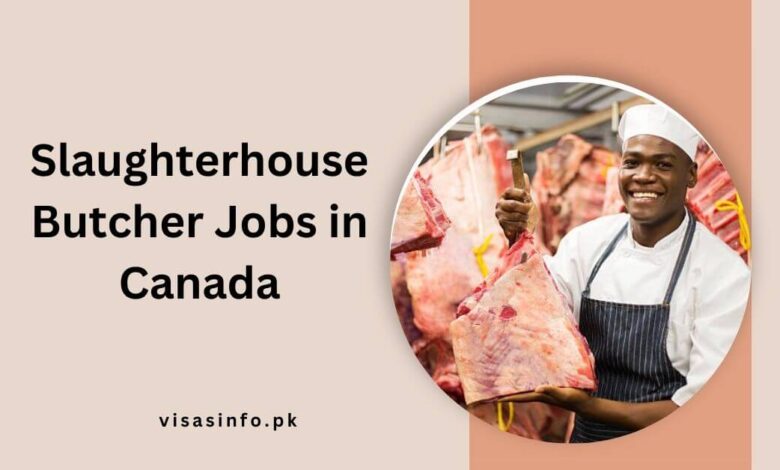 Slaughterhouse Butcher Jobs in Canada