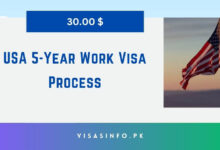 USA 5-Year Work Visa Process