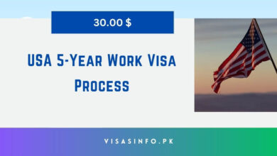 USA 5-Year Work Visa Process