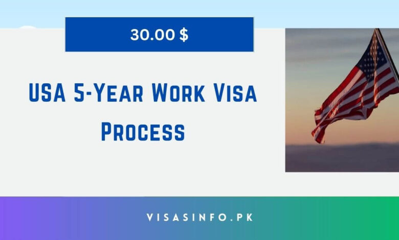 USA 5-Year Work Visa Process