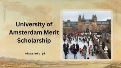 University of Amsterdam Merit Scholarship