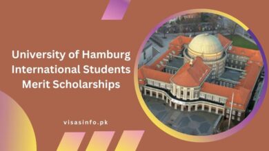 University of Hamburg International Students Merit Scholarships