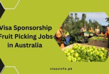 Visa Sponsorship Fruit Picking Jobs in Australia