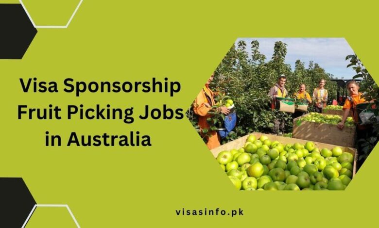 Visa Sponsorship Fruit Picking Jobs in Australia