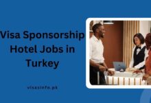 Visa Sponsorship Hotel Jobs in Turkey