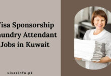 Visa Sponsorship Laundry Attendant Jobs in Kuwait