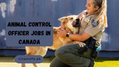 Animal Control Officer Jobs in Canada