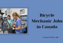 Bicycle Mechanic Jobs in Canada