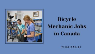 Bicycle Mechanic Jobs in Canada