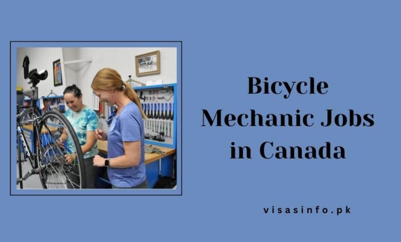 Bicycle Mechanic Jobs in Canada