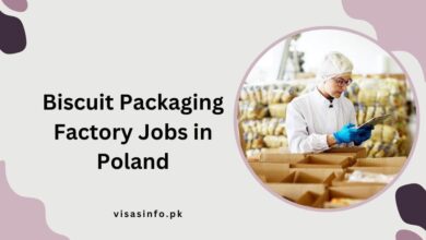 Biscuit Packaging Factory Jobs in Poland