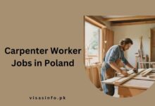 Carpenter Worker Jobs in Poland