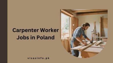 Carpenter Worker Jobs in Poland