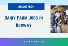 Dairy Farm Jobs in Norway