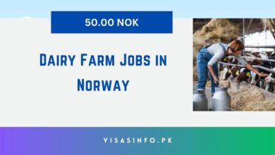 Dairy Farm Jobs in Norway