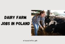 Dairy Farm Jobs in Poland