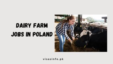 Dairy Farm Jobs in Poland