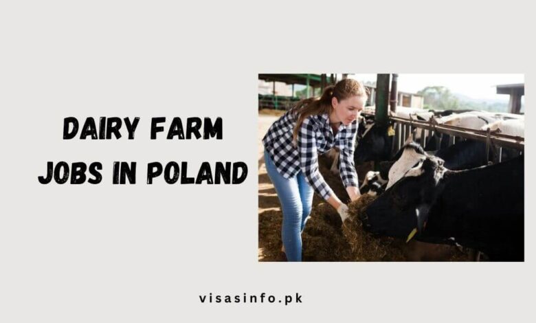 Dairy Farm Jobs in Poland