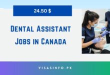 Dental Assistant Jobs in Canada