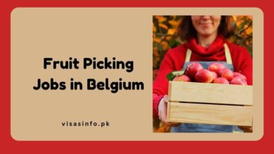 Fruit Picking Jobs in Belgium