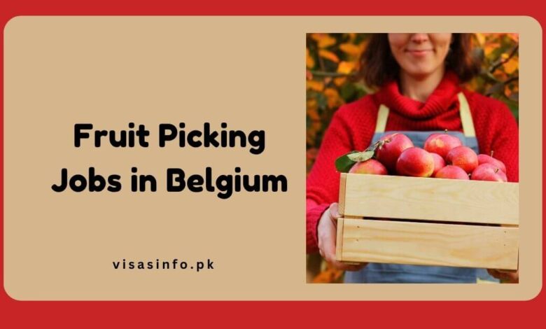 Fruit Picking Jobs in Belgium