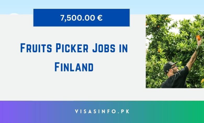 Fruits Picker Jobs in Finland