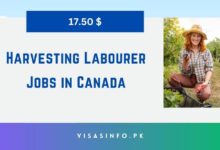 Harvesting Labourer Jobs in Canada