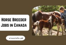 Horse Breeder Jobs in Canada