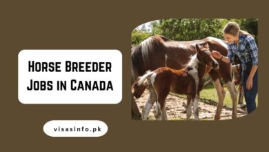 Horse Breeder Jobs in Canada