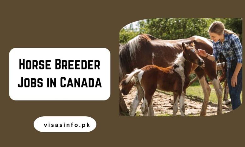 Horse Breeder Jobs in Canada